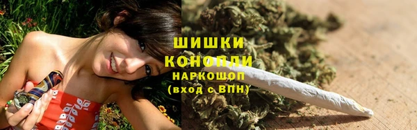 гашик Арсеньев