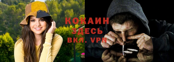 крисы Аркадак