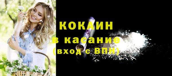 гашик Арсеньев