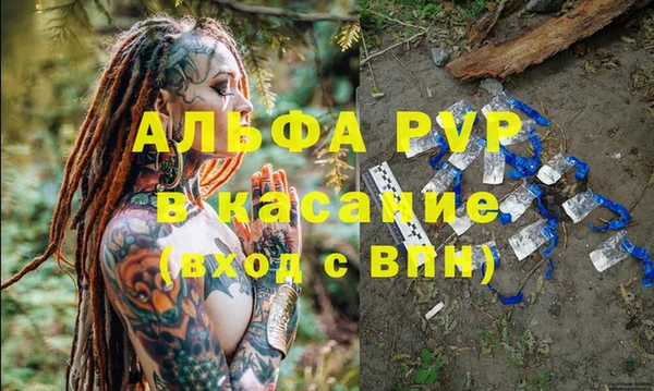 гашик Арсеньев