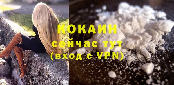 крисы Аркадак