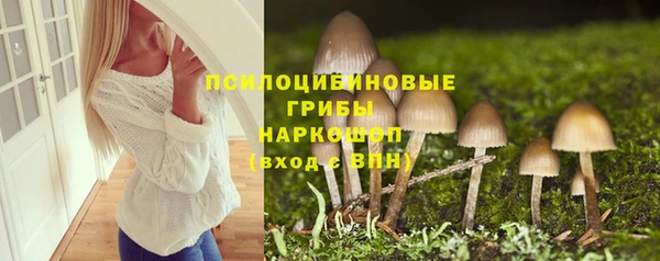 крисы Аркадак