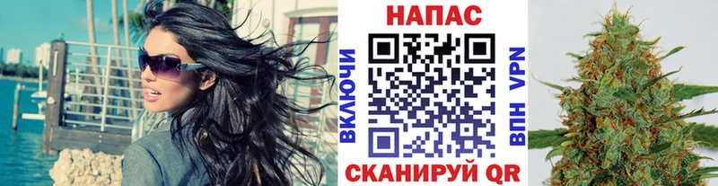Шишки марихуана семена  Порхов 